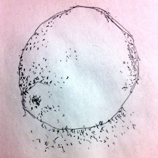Course Artwork – Luscious Lemons and Cross-Hatching Exercises using different drawing materials