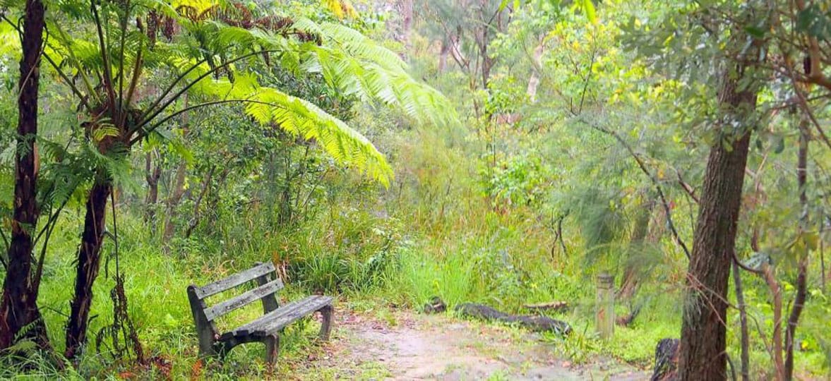 Stony Range Bush Dreaming Festival