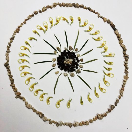 Natural And Found Object Mandalas