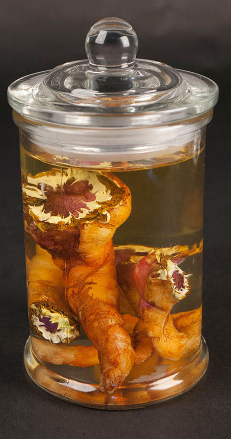 Class Artwork – Spooky Specimen Sculptures workshop
