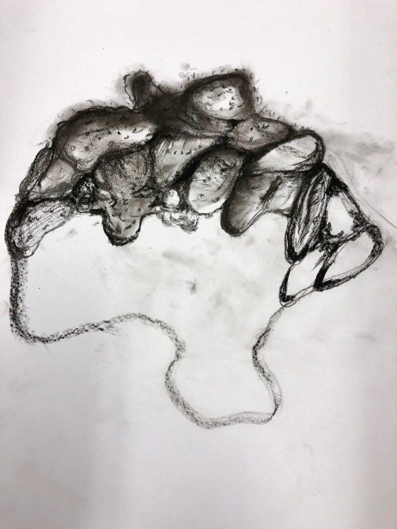 Teens Club 2021 – Student work: Drawing with Charcoal