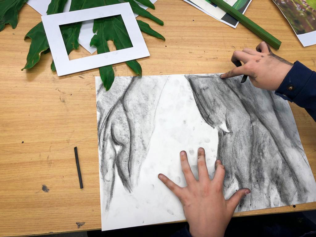 Rainforest Drawing - student work