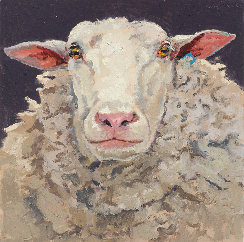 Lucy Culliton Sheep