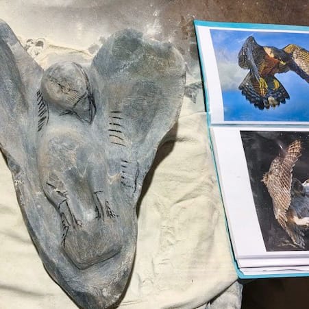 Sculpture Workshop - Eagle