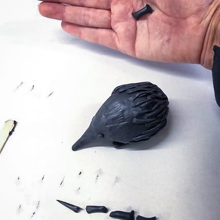 Echidna Sculpture