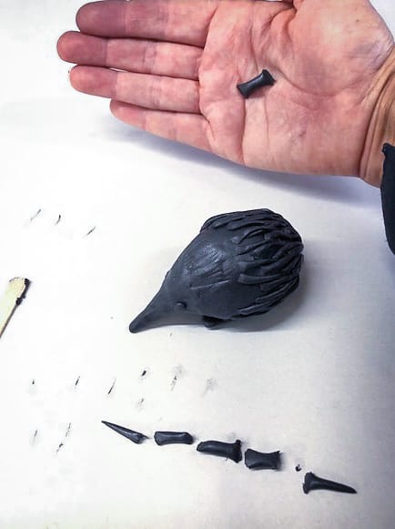 Echidna Sculpture