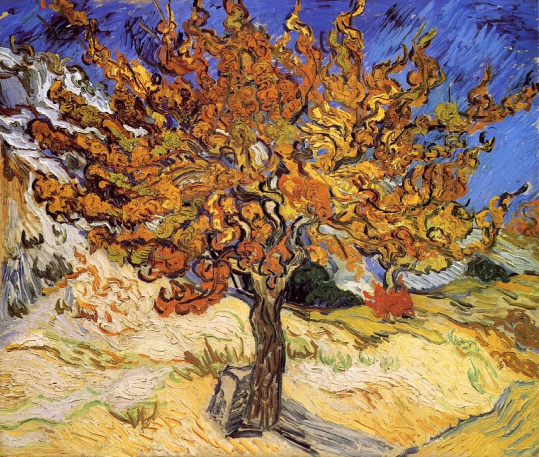 Van Gogh, Mulberry Tree