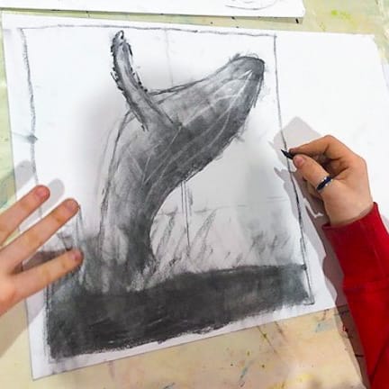 Student Work, Charcoal Drawing, Whale Breeching