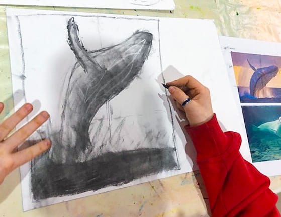 Student Work, Charcoal Drawing, Whale Breeching