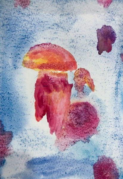 Student work, Jellyfish, watercolour